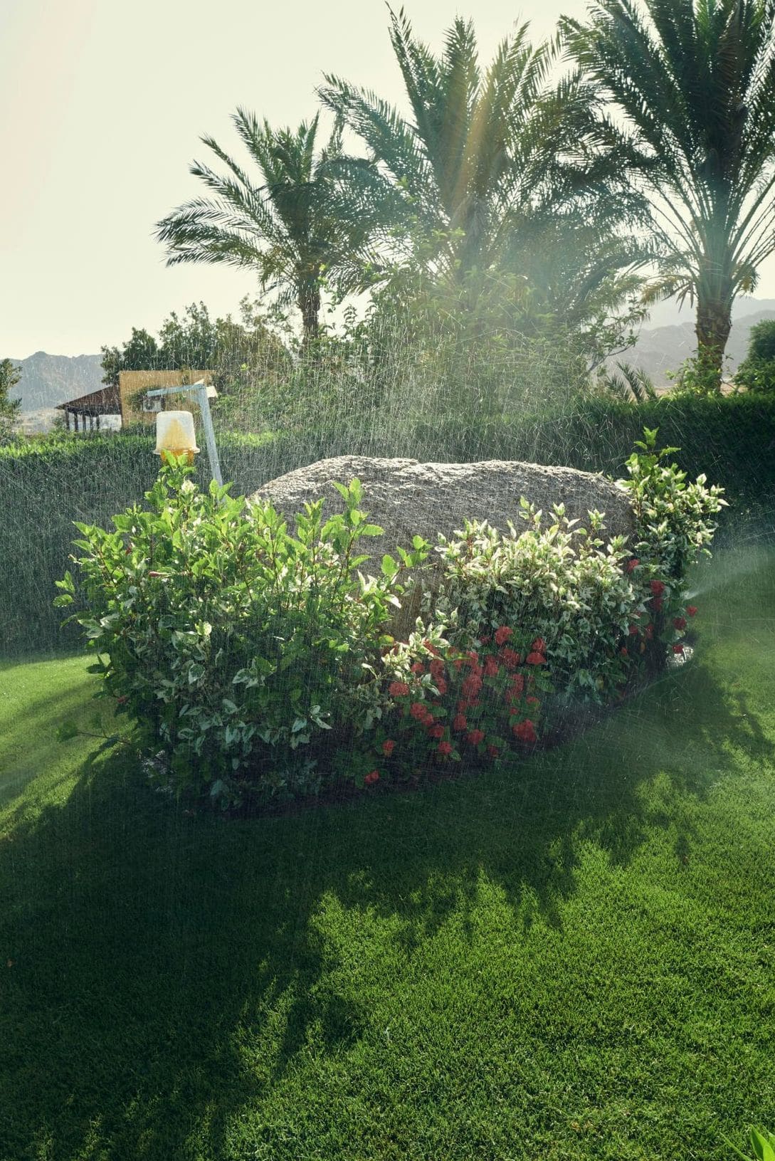 Préparer son jardin pour le retour du printemps