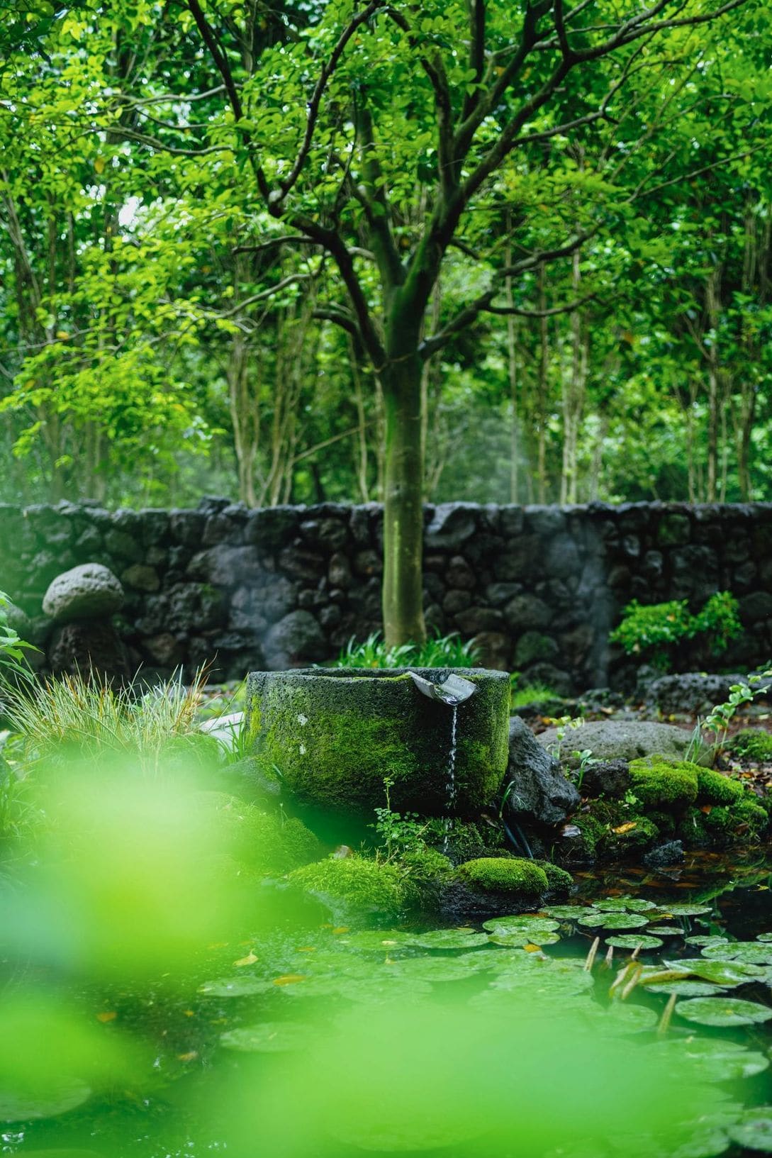 Créer un coin détente naturel dans votre jardin