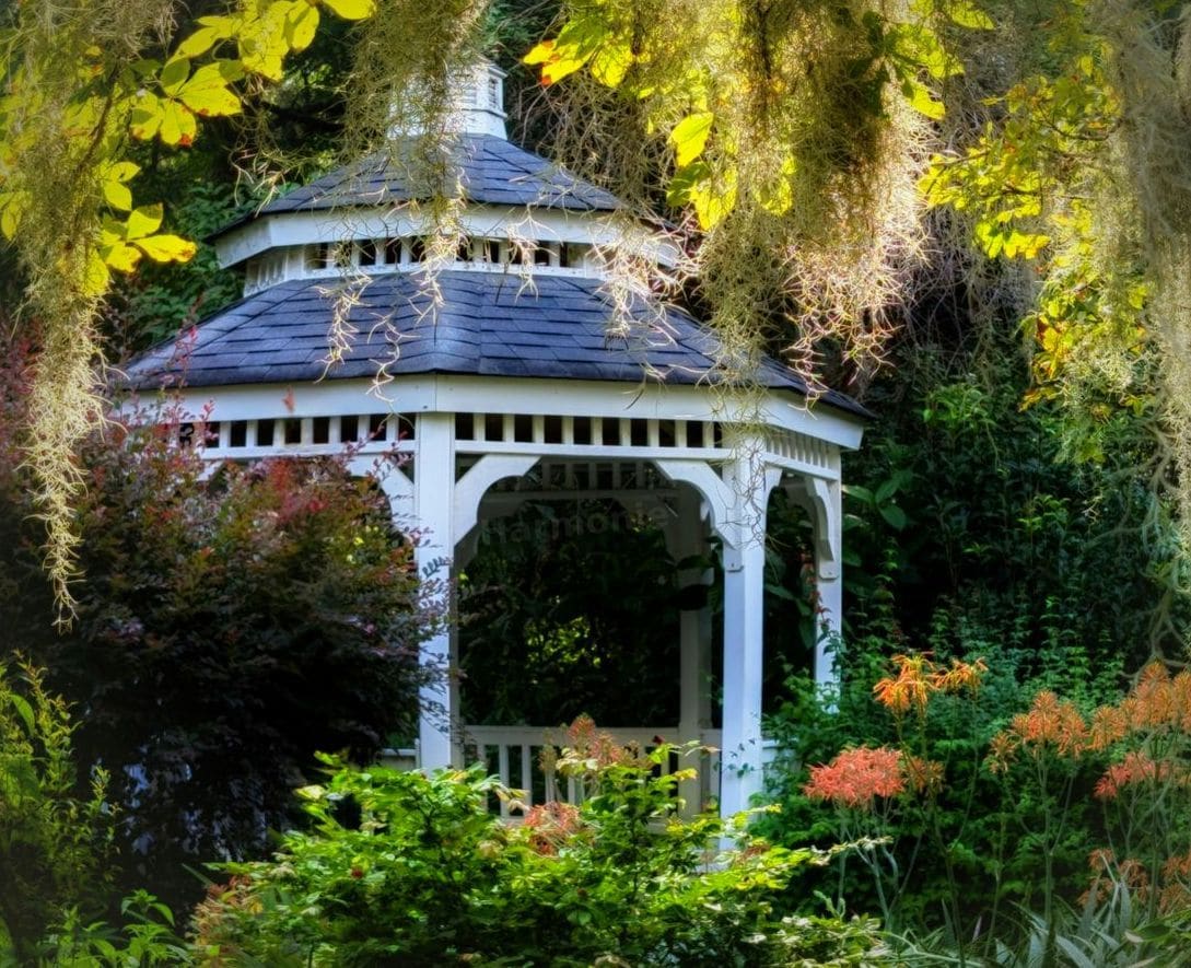 Jardin Harmonie 11