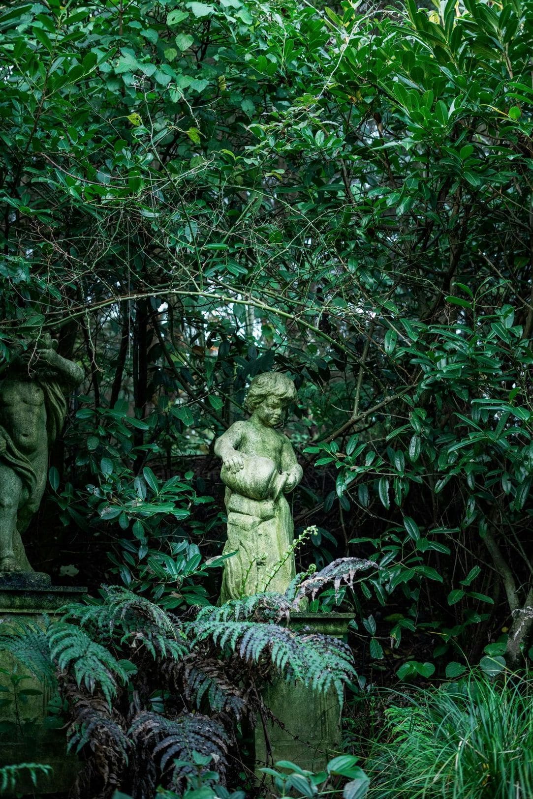 Jardin Harmonie 12