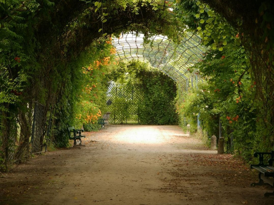 Jardin Harmonie 13