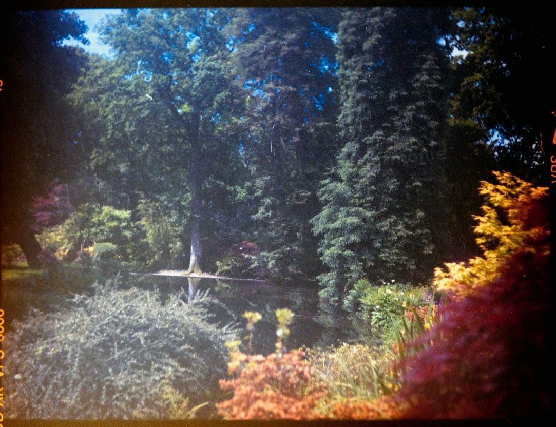 Jardin Harmonie 14