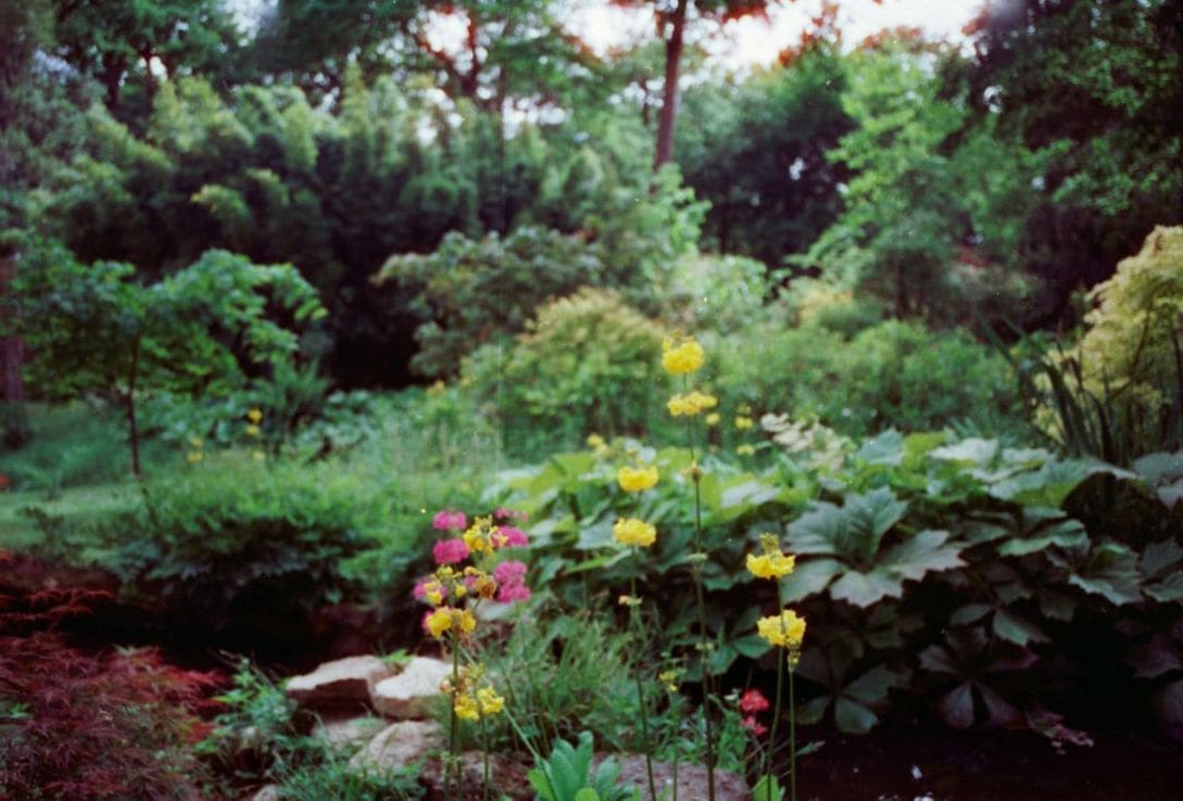 Jardin Harmonie 3