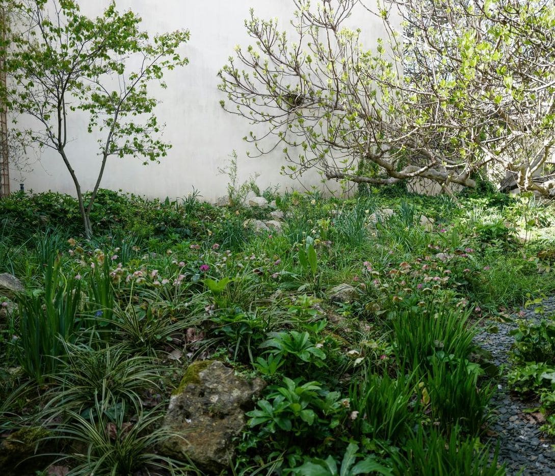 Jardin Harmonie 9